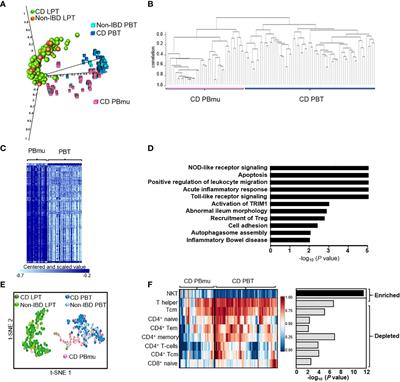 A blood-based transcriptomic signature stratifies severe Crohn’s disease and defines potentially targetable therapeutic pathways